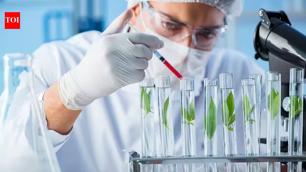 Wolfsbane and larkspur can paralyse in tiny doses; scientists found six enzymes that could help turn their chemistry into future medicines Wolfsbane and larkspur can paralyse in tiny doses; scientists found six enzymes that could help turn their chemistry into future medicines