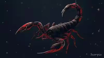Daily Nadi Horoscope for Scorpio (5th August 2026): Don’t Let a Small Work Dispute Distract You from a Bigger Goal Daily Nadi Horoscope for Scorpio (5th August 2026): Don’t Let a Small Work Dispute Distract You from a Bigger Goal