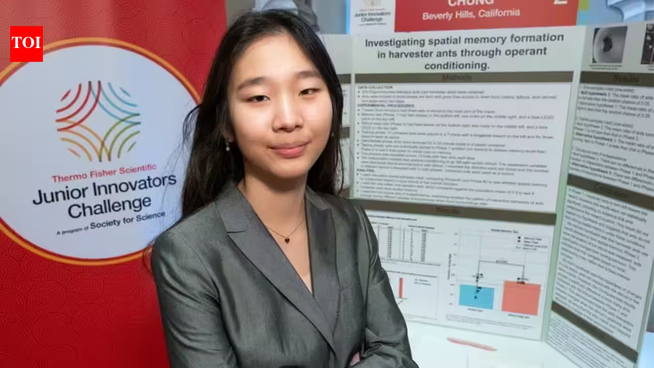 Meet Seungah Chung, the US eighth-grader who used 200 ants and a maze to discover they navigate by landmarks Meet Seungah Chung, the US eighth-grader who used 200 ants and a maze to discover they navigate by landmarks