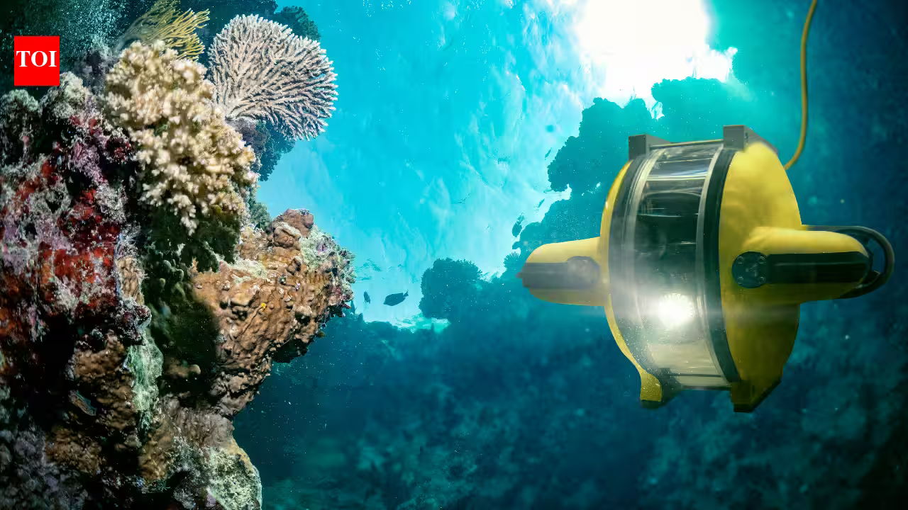 Between 2014 and 2017, underwater robots found surface chlorophyll 1,000 metres deep; scientists have now explained how it arrived Between 2014 and 2017, underwater robots found surface chlorophyll 1,000 metres deep; scientists have now explained how it arrived