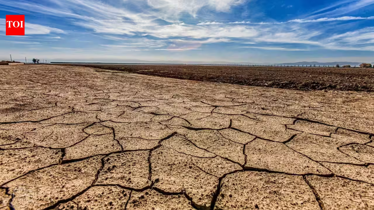 Scientists say California’s 2020 drought may have permanently damaged a massive underground water reserve that can no longer store as much water | Scientists say California’s 2020 drought may have permanently damaged a massive underground water reserve that can no longer store as much water |