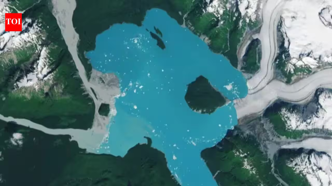 A new island has emerged in Alaska after a glacier melted away: Nasa images reveal a stark sign of climate change | A new island has emerged in Alaska after a glacier melted away: Nasa images reveal a stark sign of climate change |