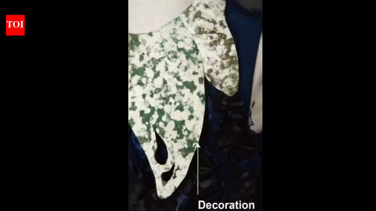 Scientists in China create a self-healing dress from living fungus that repairs its own tears and biodegrades naturally | Scientists in China create a self-healing dress from living fungus that repairs its own tears and biodegrades naturally |