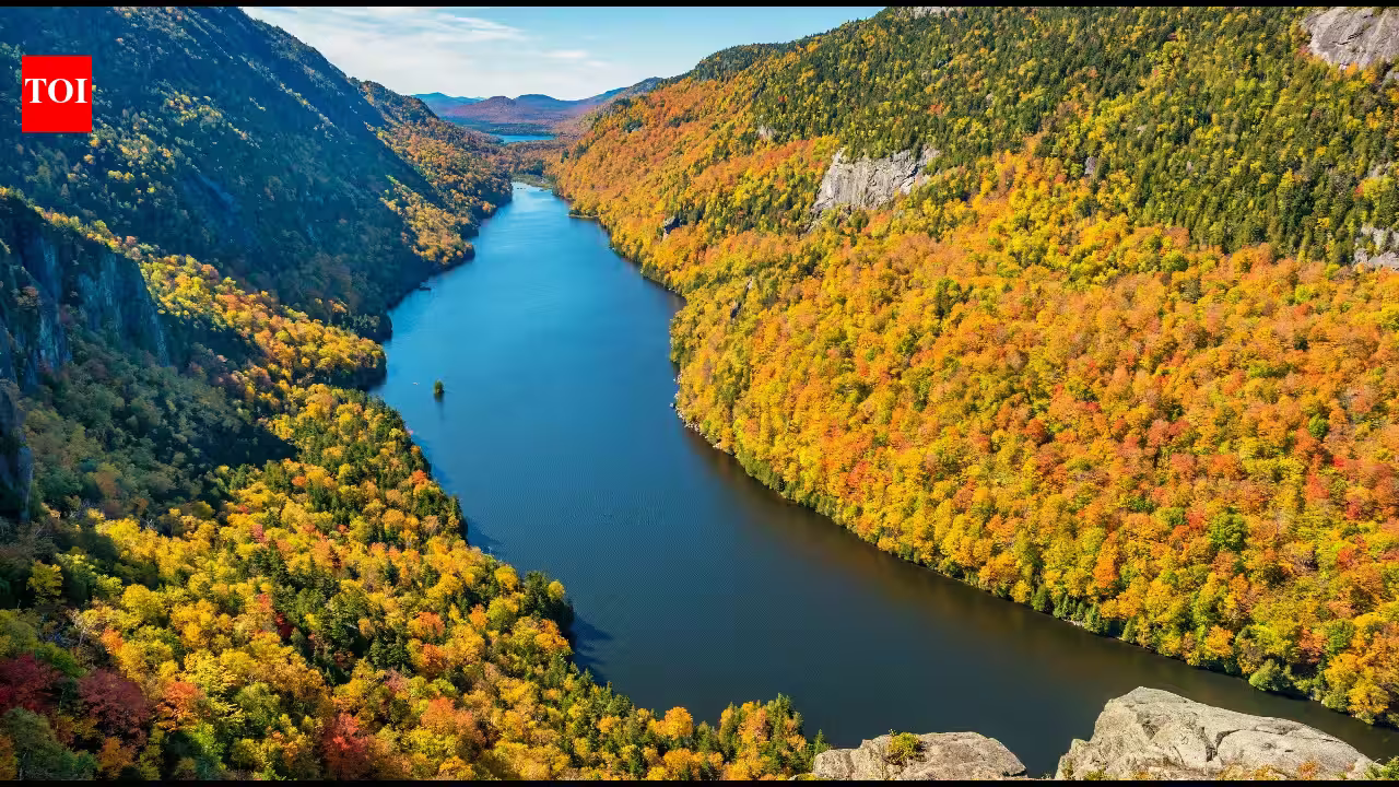 Researchers mapped more than 100 lakes across 1,000 kilometres of Brazil and Uruguay; the network could detect ecosystem stress before irreversible damage Researchers mapped more than 100 lakes across 1,000 kilometres of Brazil and Uruguay; the network could detect ecosystem stress before irreversible damage