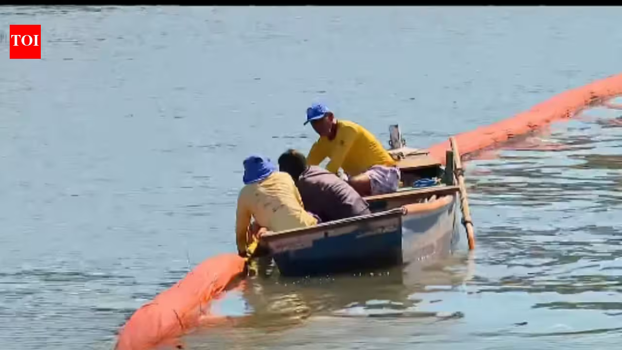 In Rio de Janeiro’s Guanabara Bay, discarded salon hair is being transformed into an oil-absorbing barrier that protects mangroves from oil spills In Rio de Janeiro’s Guanabara Bay, discarded salon hair is being transformed into an oil-absorbing barrier that protects mangroves from oil spills