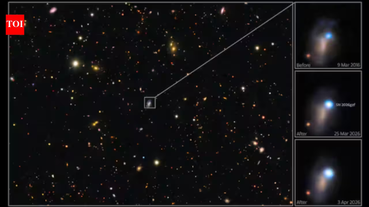 Astronomers caught the first sign of a star 30 times more massive than the Sun exploding, then tracked its supernova for nearly three months Astronomers caught the first sign of a star 30 times more massive than the Sun exploding, then tracked its supernova for nearly three months