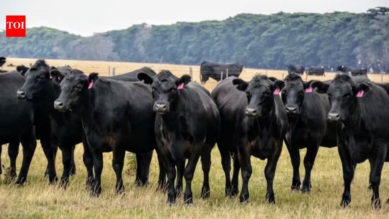 One-third of global farmland accounts for about two-thirds of agriculture-linked biodiversity and natural carbon-storage loss, a new study finds One-third of global farmland accounts for about two-thirds of agriculture-linked biodiversity and natural carbon-storage loss, a new study finds