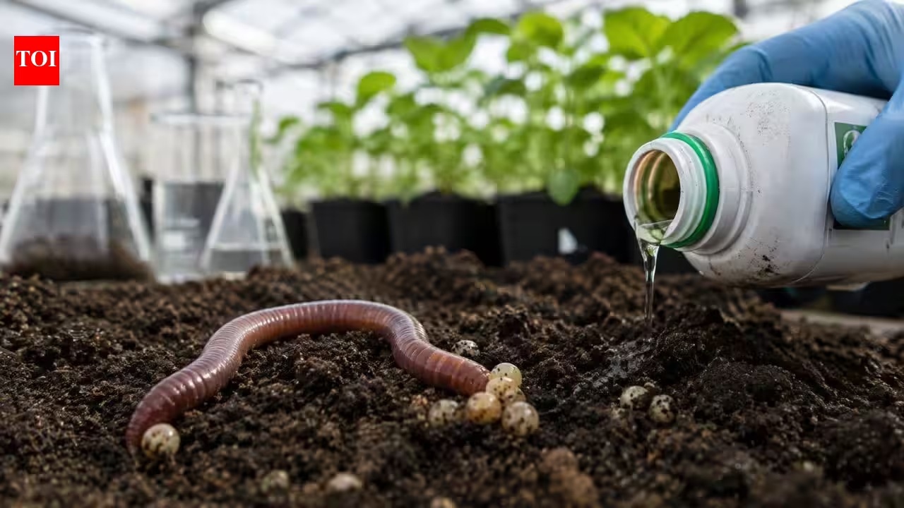 Scientists in Austria found that a glyphosate-based herbicide reduced earthworm reproduction by 56% in a greenhouse study Scientists in Austria found that a glyphosate-based herbicide reduced earthworm reproduction by 56% in a greenhouse study