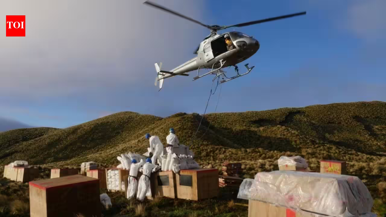 In 2016, New Zealand targeted an estimated 200,000 mice on Antipodes Island; two years later they were declared gone, and subsequent surveys found two native bird populations had more than doubled In 2016, New Zealand targeted an estimated 200,000 mice on Antipodes Island; two years later they were declared gone, and subsequent surveys found two native bird populations had more than doubled