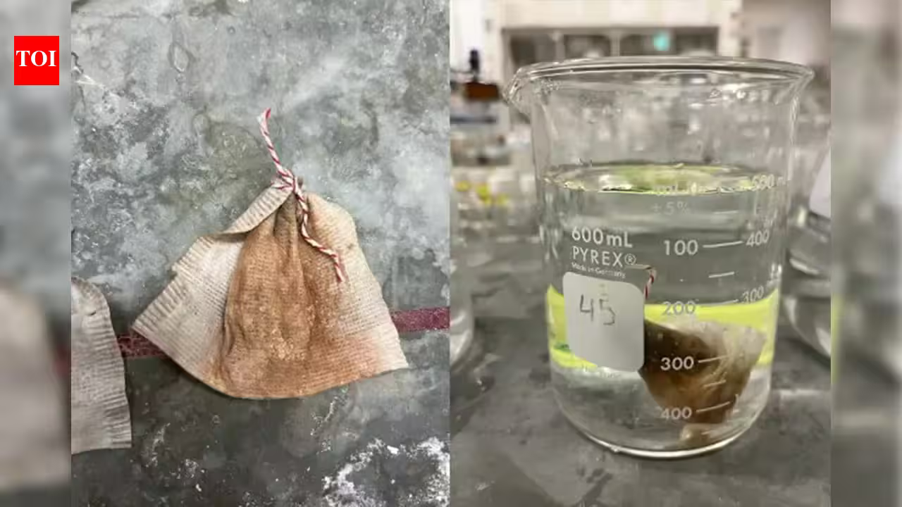 Meet Vick Tan: The Minnesota student who turned a teabag into a low-cost filter that removed more than 90% of arsenic from water | Meet Vick Tan: The Minnesota student who turned a teabag into a low-cost filter that removed more than 90% of arsenic from water |