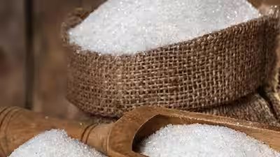 Stocking, speculation behind ‘unnatural’ sugar price surge: ISMA Stocking, speculation behind ‘unnatural’ sugar price surge: ISMA