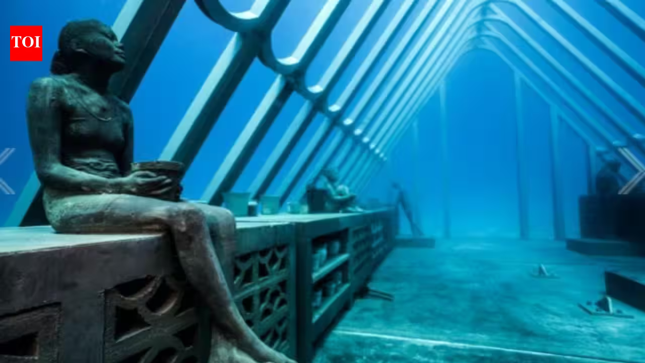 In 2019, a 165-tonne underwater art structure was submerged beneath the Great Barrier Reef; today, coral and marine creatures are slowly transforming the structure | In 2019, a 165-tonne underwater art structure was submerged beneath the Great Barrier Reef; today, coral and marine creatures are slowly transforming the structure |