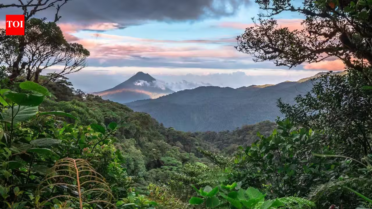 In 1972, Costa Rica began protecting a misty mountain forest: Decades later, Monteverde’s 10,500 hectares have become a remarkable conservation story | In 1972, Costa Rica began protecting a misty mountain forest: Decades later, Monteverde’s 10,500 hectares have become a remarkable conservation story |