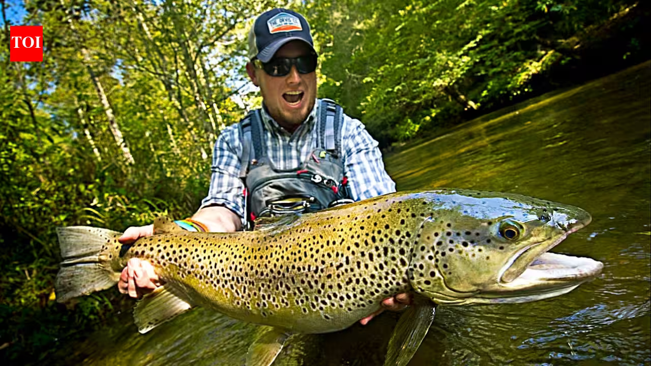 In 1867, New Zealand introduced brown trout for sport fishing; more than 60 million were released by 1921, and the invader later caused local extinctions and fragmented native fish populations In 1867, New Zealand introduced brown trout for sport fishing; more than 60 million were released by 1921, and the invader later caused local extinctions and fragmented native fish populations