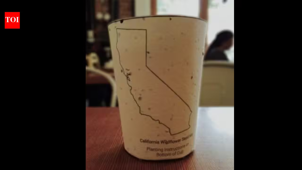 In 2015, this ordinary coffee cup hid seeds inside its paper; after the last sip, you could plant it instead of throwing it away | In 2015, this ordinary coffee cup hid seeds inside its paper; after the last sip, you could plant it instead of throwing it away |