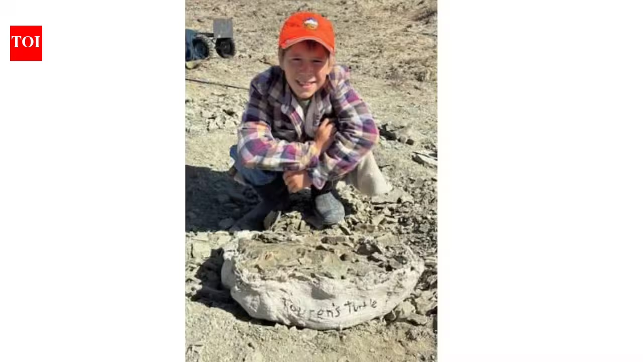 In 2025, 11-year-old Touren Pope spotted a fossil exposed on the ground in Wyoming; it turned out to be a nearly complete 48-million-year-old turtle shell, and he was allowed to name it In 2025, 11-year-old Touren Pope spotted a fossil exposed on the ground in Wyoming; it turned out to be a nearly complete 48-million-year-old turtle shell, and he was allowed to name it