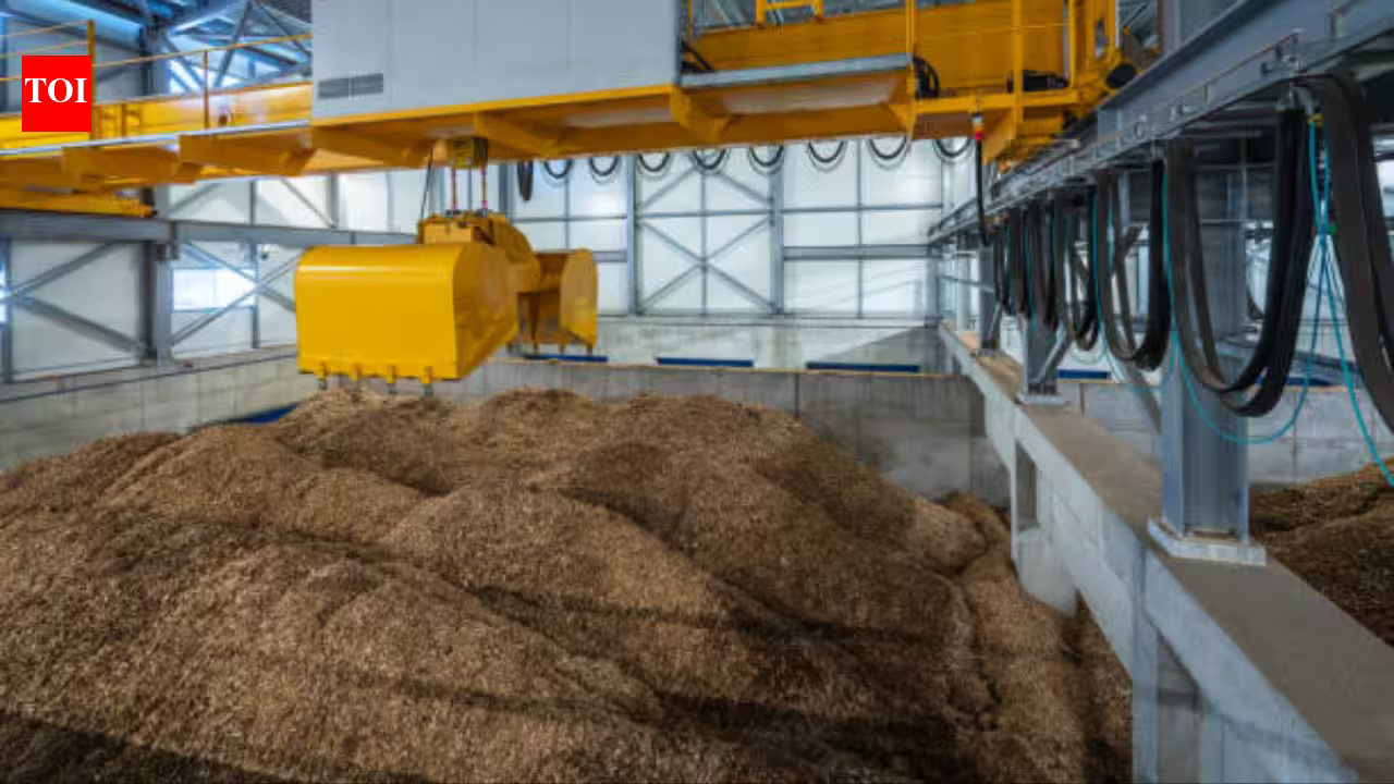 Scientists are turning discarded wood into foam to replace plastic in packaging and construction industries; it can decompose in soil within months Scientists are turning discarded wood into foam to replace plastic in packaging and construction industries; it can decompose in soil within months