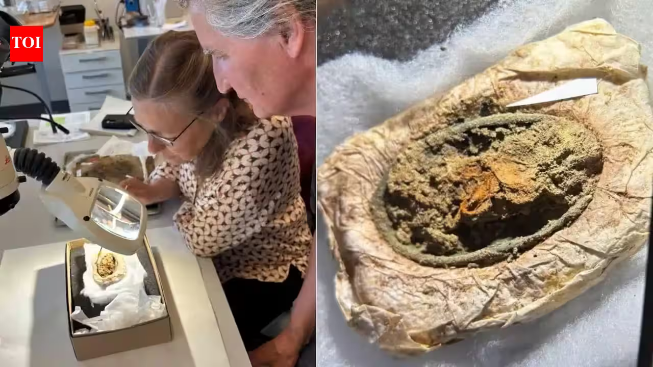 Viking Textile Fragments: Rare textile fragments have survived for around 1,300 years inside a Viking woman’s Danish grave because metallic salts released by two brooches inhibited microbes that would normally destroy the cloth Viking Textile Fragments: Rare textile fragments have survived for around 1,300 years inside a Viking woman’s Danish grave because metallic salts released by two brooches inhibited microbes that would normally destroy the cloth