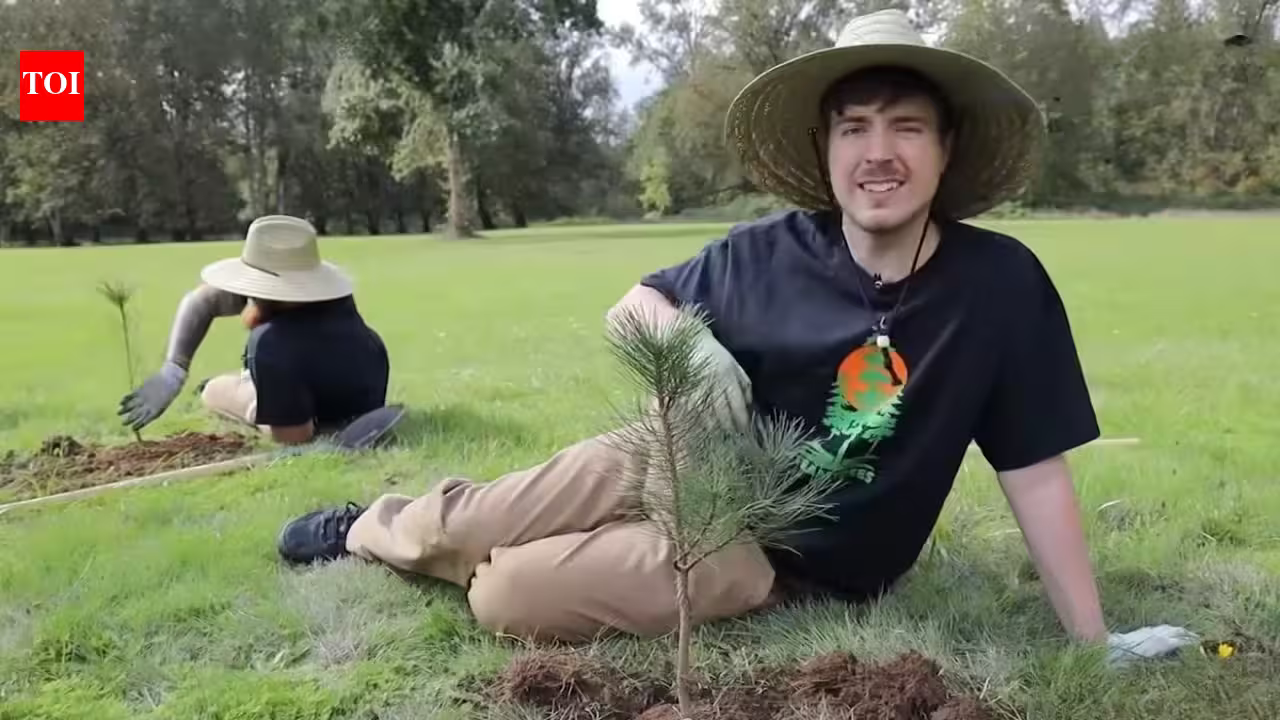 In 2019, MrBeast was challenged to plant 20 million trees; today #TeamTrees has planted over 25 million worldwide In 2019, MrBeast was challenged to plant 20 million trees; today #TeamTrees has planted over 25 million worldwide