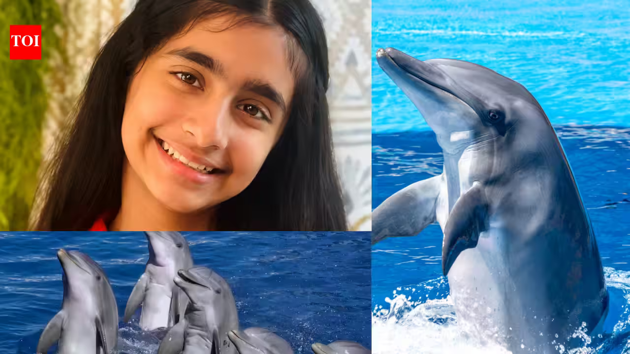 Meet Ishanvi Sakharpe, the Virginia student who built Dolphin Guard to help protect dolphins from dangerous human activity | Meet Ishanvi Sakharpe, the Virginia student who built Dolphin Guard to help protect dolphins from dangerous human activity |