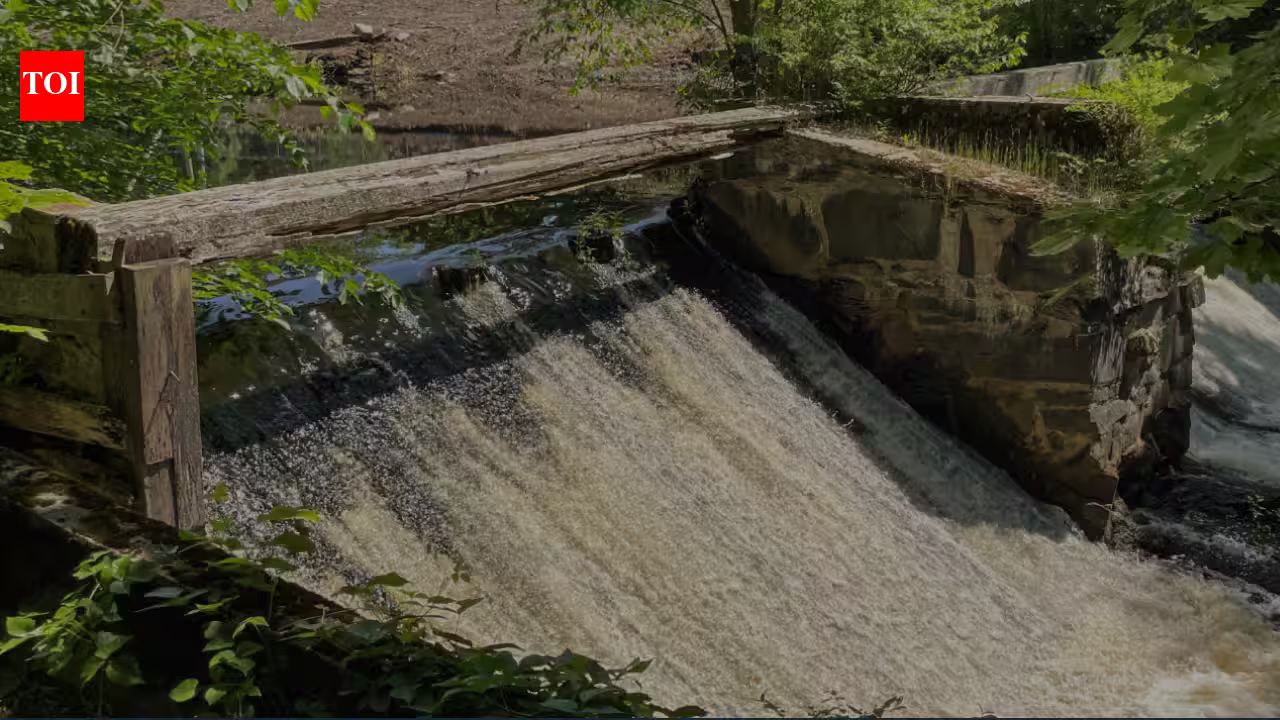 Massachusetts removed a dam that had blocked the Town River for more than 100 years; the project reopened 10 miles of river and 354 acres of spawning habitat for migratory fish Massachusetts removed a dam that had blocked the Town River for more than 100 years; the project reopened 10 miles of river and 354 acres of spawning habitat for migratory fish