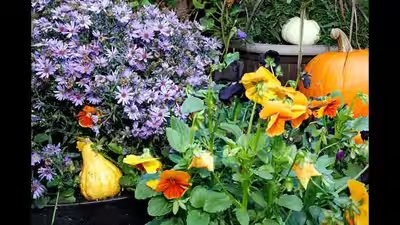 Easy ways to give your garden planters a beautiful fall glow-up: Simple ideas to refresh your outdoor space Easy ways to give your garden planters a beautiful fall glow-up: Simple ideas to refresh your outdoor space