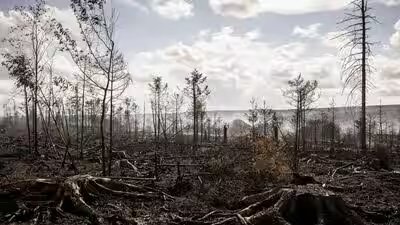 European wildfires expose hidden threat of buried WWI, WWII bombs and mines European wildfires expose hidden threat of buried WWI, WWII bombs and mines