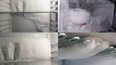 Fridge Moisture Problems: Fridge moisture problems? Simple tips to prevent condensation and keep food fresh Fridge Moisture Problems: Fridge moisture problems? Simple tips to prevent condensation and keep food fresh