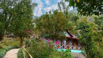 Kashmir Rooftop Farming: On a Kashmir rooftop in Shopian, one farmer is growing a whole farm’s worth of food Kashmir Rooftop Farming: On a Kashmir rooftop in Shopian, one farmer is growing a whole farm’s worth of food