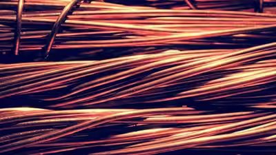 Government eyes 3000 crore by selling 6% in Hindustan Copper Government eyes 3000 crore by selling 6% in Hindustan Copper
