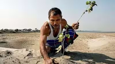 How one man turned a barren Brahmaputra sandbar into a thriving forest How one man turned a barren Brahmaputra sandbar into a thriving forest