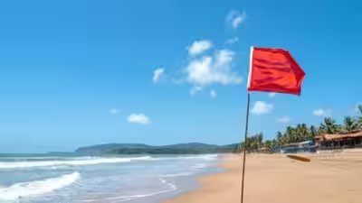 Sardinia Sand Laws: Why is it illegal to take sand from some beaches? The environmental and legal reasons you should know before collecting it Sardinia Sand Laws: Why is it illegal to take sand from some beaches? The environmental and legal reasons you should know before collecting it