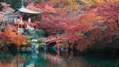 Indian Railways launches 10-day Japan tour from Delhi; package includes bullet train ride, Mt Fuji and Hiroshima from ₹3.46 lakh Indian Railways launches 10-day Japan tour from Delhi; package includes bullet train ride, Mt Fuji and Hiroshima from ₹3.46 lakh