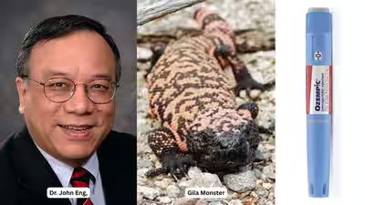 In 1992, Dr John Eng discovered a molecule in Gila monster venom; decades later, his finding helped pave the way for widely used type 2 diabetes medicines In 1992, Dr John Eng discovered a molecule in Gila monster venom; decades later, his finding helped pave the way for widely used type 2 diabetes medicines