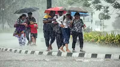 Kerala school holiday today: Schools, colleges shut in 11 districts due to heavy rain; check full list Kerala school holiday today: Schools, colleges shut in 11 districts due to heavy rain; check full list
