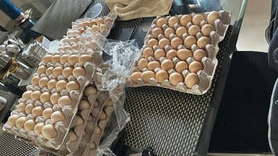 Laid off by Amazon, woman starts chicken farm: ‘I have my product, the eggs’ Laid off by Amazon, woman starts chicken farm: ‘I have my product, the eggs’