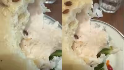 ‘Is that a worm?’ Diner finds live worm in sandwich at very popular Gurugram restaurant; video goes viral ‘Is that a worm?’ Diner finds live worm in sandwich at very popular Gurugram restaurant; video goes viral