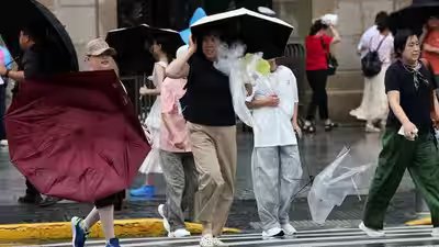 Over 1 million evacuated as Typhoon Dolphin hits eastern China; 1,400 Shanghai flights cancelled Over 1 million evacuated as Typhoon Dolphin hits eastern China; 1,400 Shanghai flights cancelled