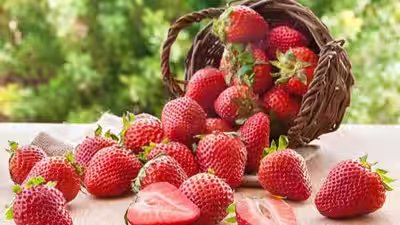 Health Benefits Of Strawberries: Ariana Grande’s love for strawberries: What this fruit actually does for your heart, skin, and immunity Health Benefits Of Strawberries: Ariana Grande’s love for strawberries: What this fruit actually does for your heart, skin, and immunity