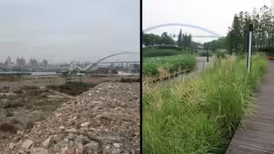 In 2010, Shanghai turned a polluted industrial brownfield into Houtan Park; its wetlands now clean up to 634,000 gallons of river water a day In 2010, Shanghai turned a polluted industrial brownfield into Houtan Park; its wetlands now clean up to 634,000 gallons of river water a day