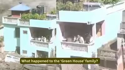 What happened to the family trapped inside Nepal’s ‘miracle’ green house? What happened to the family trapped inside Nepal’s ‘miracle’ green house?