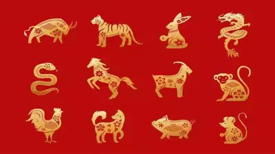 Horoscope Today, 24th September, 2026: A Stuck Situation Could Begin Moving for These Zodiac Animals Horoscope Today, 24th September, 2026: A Stuck Situation Could Begin Moving for These Zodiac Animals