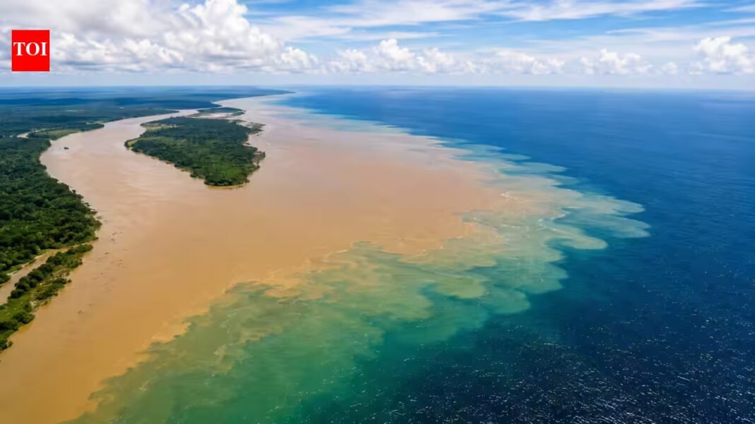The Amazon River pours 28 billion gallons of freshwater into the Atlantic Ocean every minute, making seawater less salty more than 100 miles offshore | The Amazon River pours 28 billion gallons of freshwater into the Atlantic Ocean every minute, making seawater less salty more than 100 miles offshore |