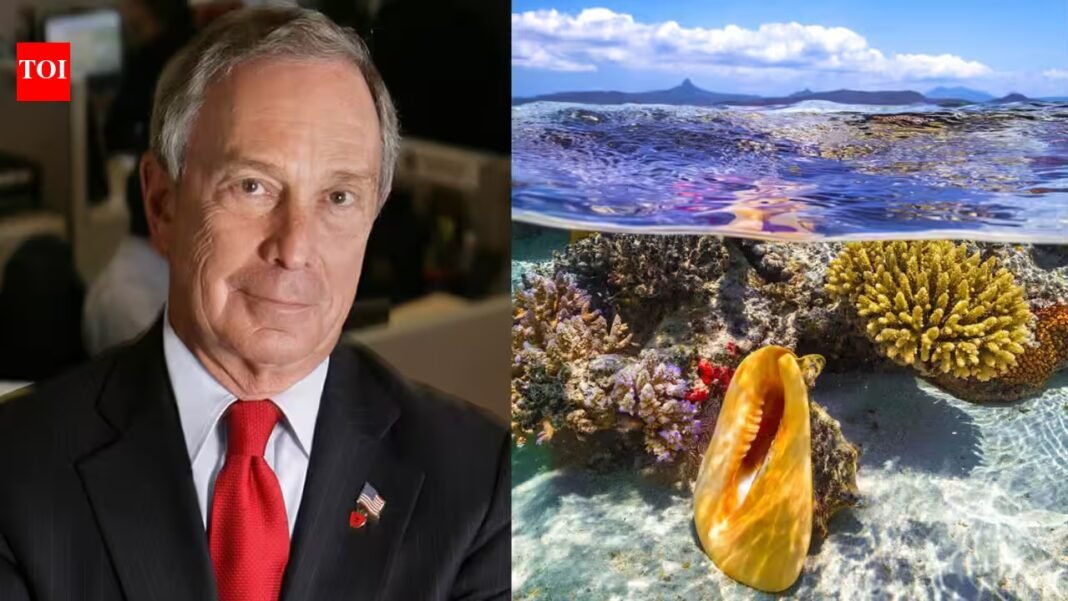 Michael Bloomberg committed $260 million to protect the world’s oceans; his initiative has already strengthened protections across 11 million sq miles | Michael Bloomberg committed $260 million to protect the world’s oceans; his initiative has already strengthened protections across 11 million sq miles |