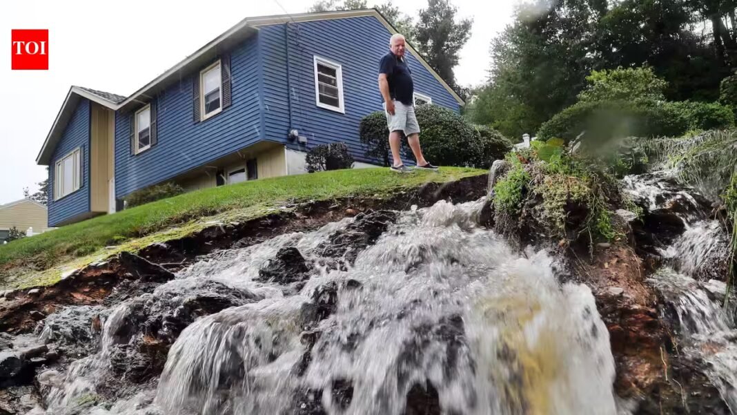 In 1999, scientists dropped 45 tons of wollastonite over a 29-acre New Hampshire watershed to replace calcium lost to acid rain; by 2013, it was exporting 30 times more inorganic nitrogen than nearby watersheds In 1999, scientists dropped 45 tons of wollastonite over a 29-acre New Hampshire watershed to replace calcium lost to acid rain; by 2013, it was exporting 30 times more inorganic nitrogen than nearby watersheds