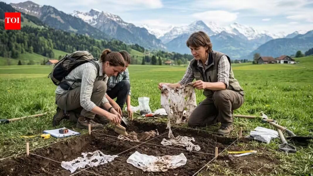 Scientists buried 2,000 pairs of cotton underwear across Switzerland; what they found revealed the health of the soil | Scientists buried 2,000 pairs of cotton underwear across Switzerland; what they found revealed the health of the soil |