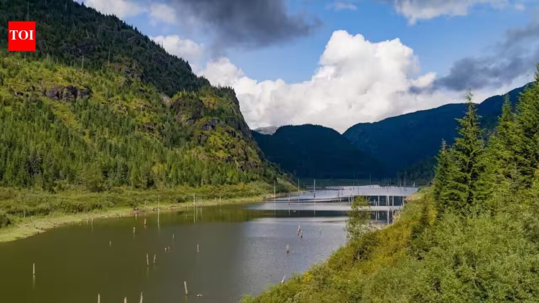 A huge forested island appeared in a British Columbia reservoir, vanished, then resurfaced 30 km away 15 days later with trees, birds and other animals still aboard A huge forested island appeared in a British Columbia reservoir, vanished, then resurfaced 30 km away 15 days later with trees, birds and other animals still aboard
