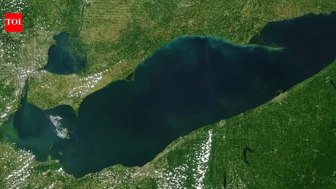 After a 25-acre Lake Erie wetland was reconnected, sonar recorded 3.44 million fish detections over 2,022 monitoring hours across four years, showing the restored habitat was used continuously After a 25-acre Lake Erie wetland was reconnected, sonar recorded 3.44 million fish detections over 2,022 monitoring hours across four years, showing the restored habitat was used continuously