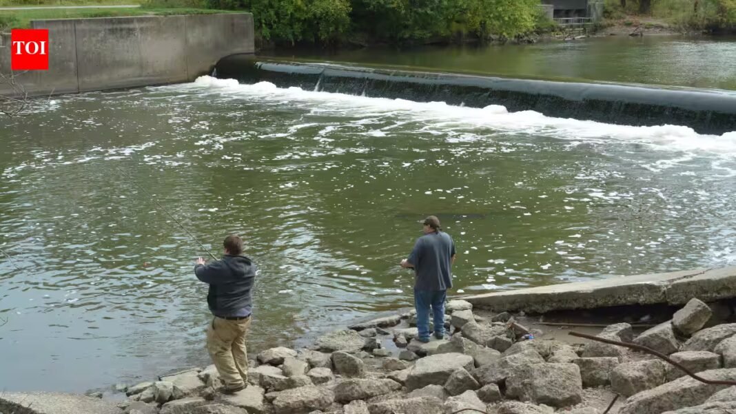 After Ohio removed Brecksville Dam in 2020, free-flowing habitat linked to Lake Erie more than doubled to 71 km; scientists later found 15 newly detected fish taxa downstream After Ohio removed Brecksville Dam in 2020, free-flowing habitat linked to Lake Erie more than doubled to 71 km; scientists later found 15 newly detected fish taxa downstream
