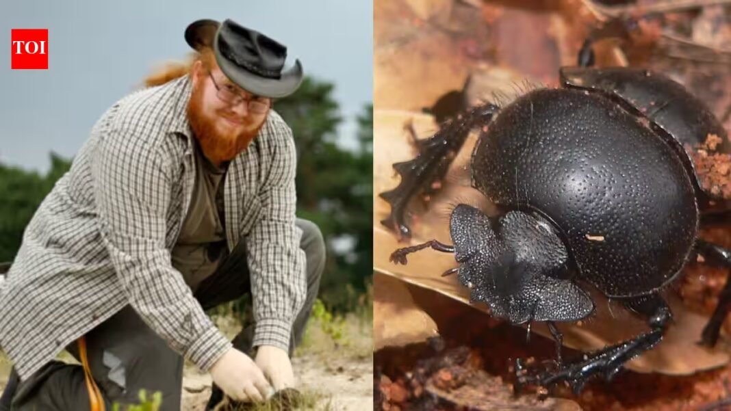 Meet Patrick Urban: The German dung beetle specialist who found a species never known to science among collected beetles | Meet Patrick Urban: The German dung beetle specialist who found a species never known to science among collected beetles |